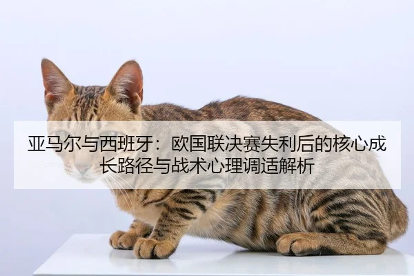 ya-ma-er-yu-xi-ban-ya-ou-guo-lian-jue-sai-shi-li-hou-de-he-xin-cheng-zhang-lu-jing-yu-zhan-shu-xin-li-tiao-shi-jie-xi-2-213.jpg