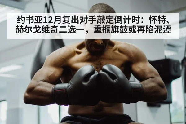 约书亚12月复出对手敲定倒计时:怀特、赫尔戈维奇二选一,重振旗鼓或再陷泥潭